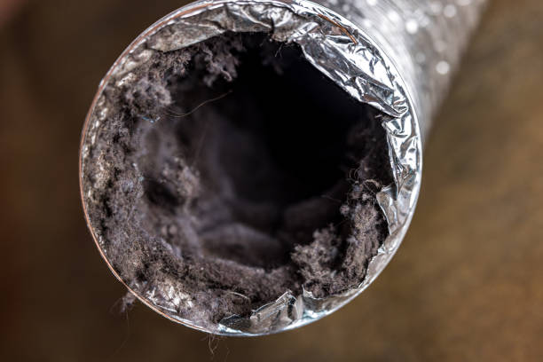 Best Duct Cleaning Specialists  in Waycross, GA
